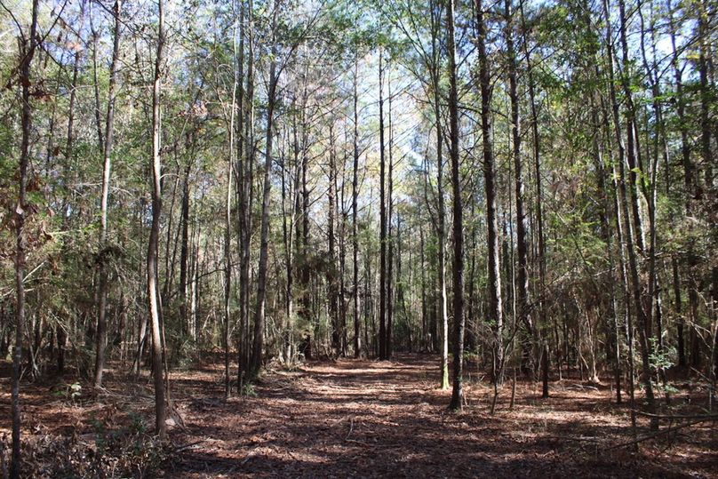 76A8D780-6E7A-4477-96C4-863B3DDD0F00_1_105_c