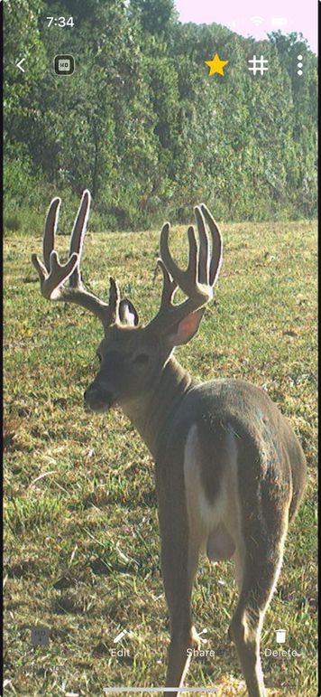 Screenshot 2025-08-26 at 7.34.52 PM