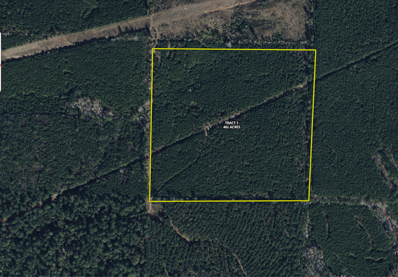 Union_Lafayette Co, AR 1779.aerial.Tract 1