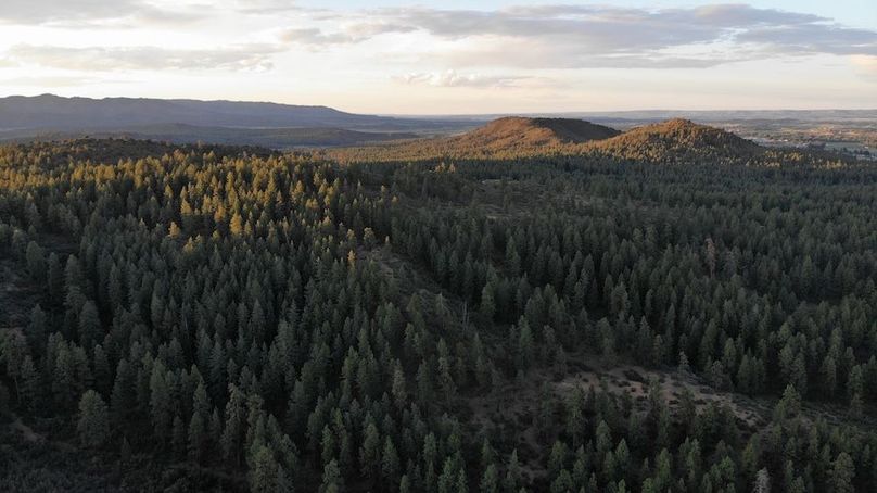 Copy of DJI_0373 (1)