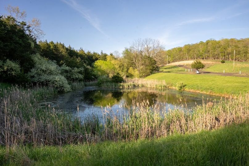 Hampshire WV 106 Featured_Pro Photo-45