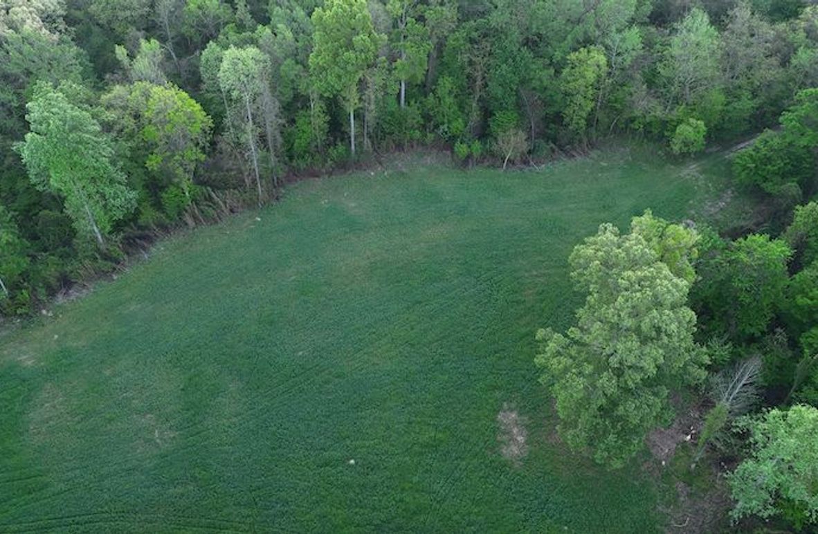 Claiborne Co-314-Fernandez-4