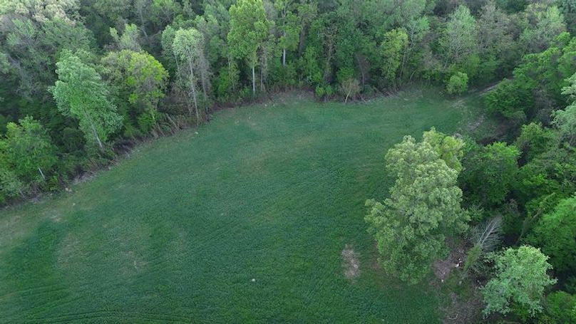 Claiborne Co-314-Fernandez-4