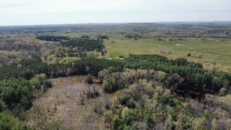 dji_fly_20230511_114154_450_1683838294036_photo_optimized