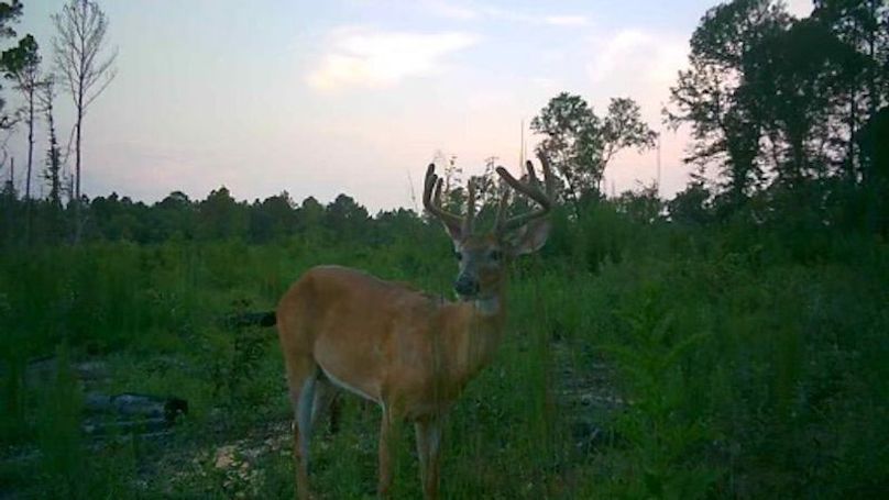 23072620151501000504