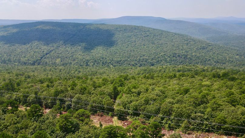 dji_fly_20230825_132342_53_1692987841446_photo