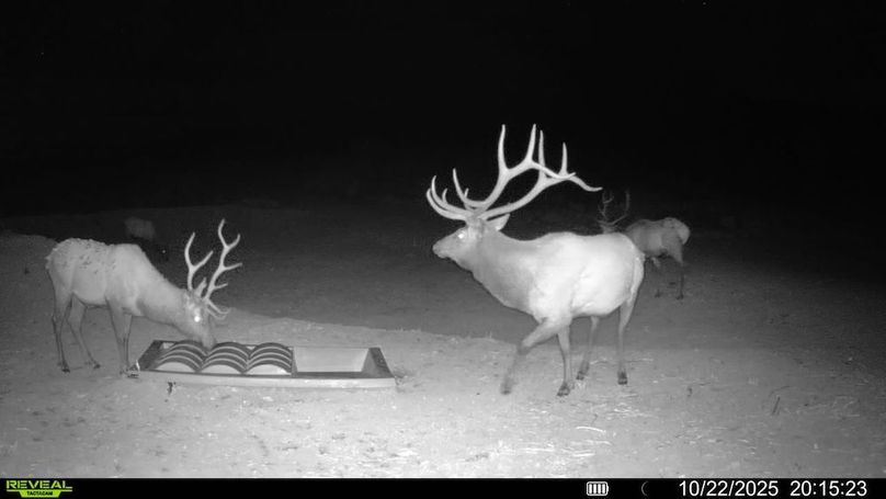 016578003984348-100-3-10222025201523-V-SYFW02278