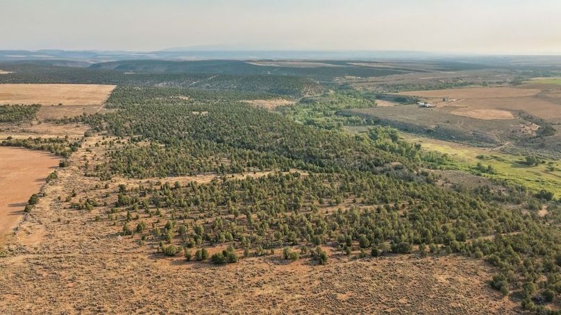 DJI_0576_1