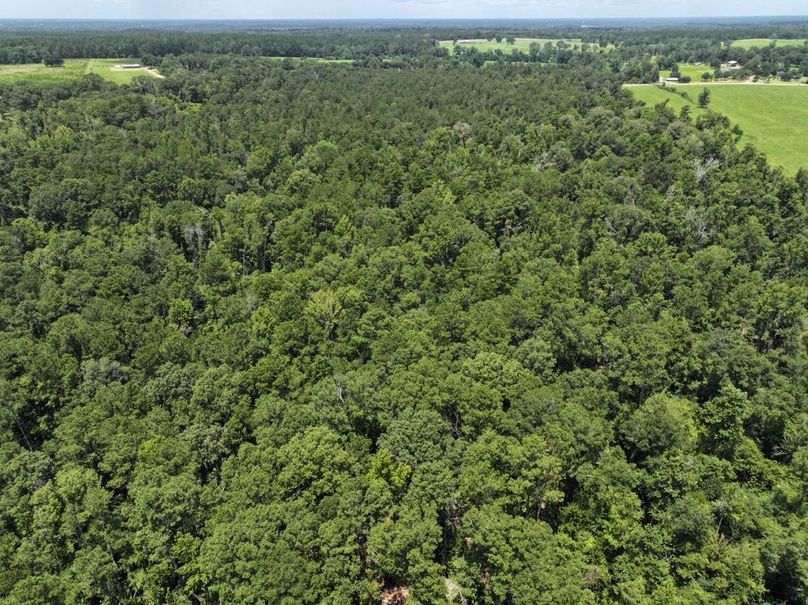 dji_fly_20250708_124128_0221_1752089880408_photo