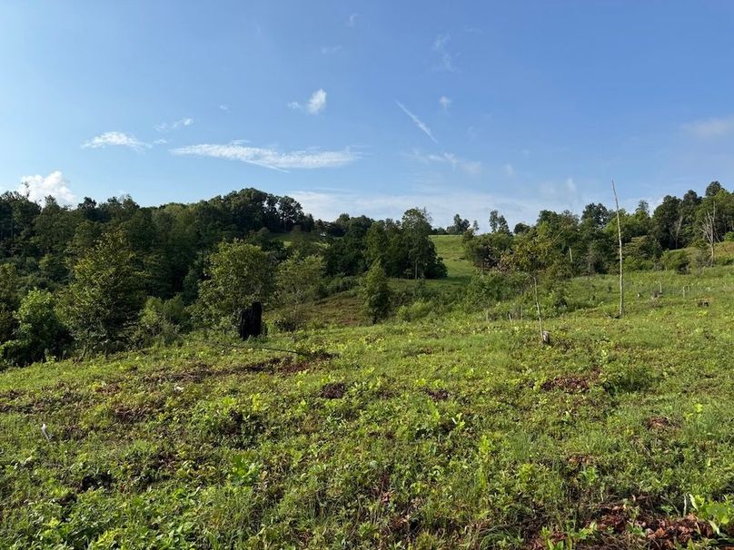 Breckinridge 31.6 10