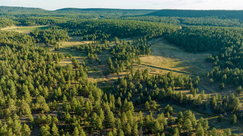 Cibola NM 13,053-0156