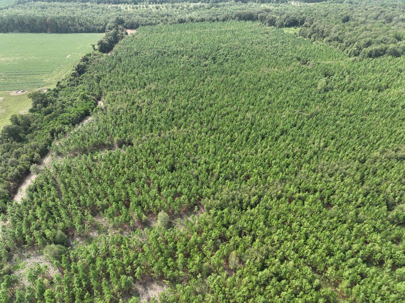 dji_fly_20230905_114106_630_1693928732340_photo