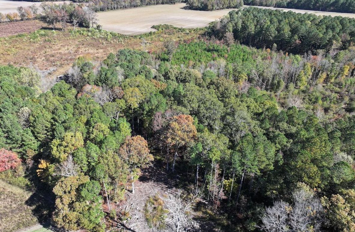 DJI_20251018123722_0135_D