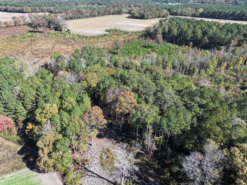 DJI_20251018123722_0135_D