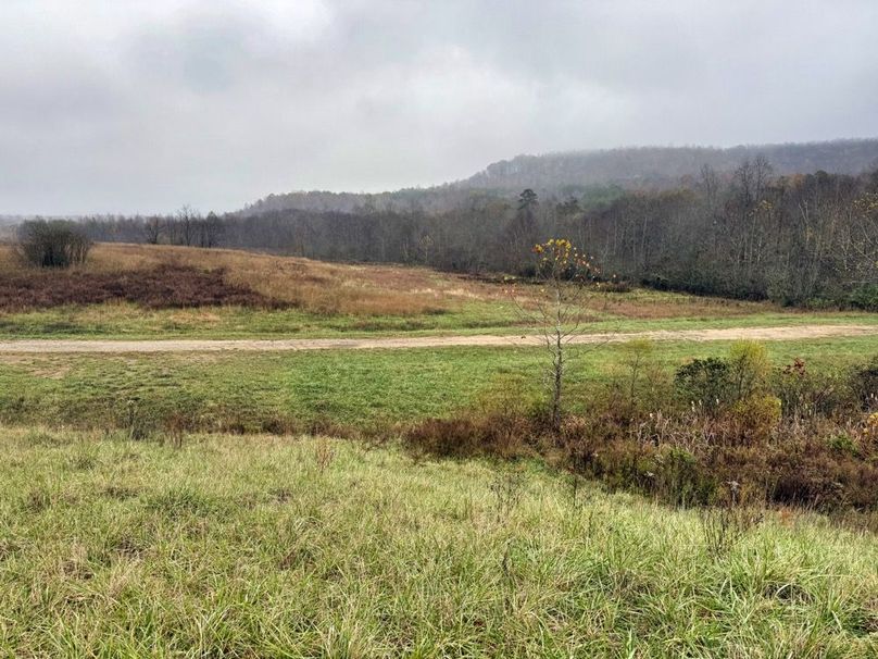 029 view over the gravel drive looking into the East fields-2