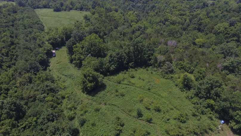 DJI_0560