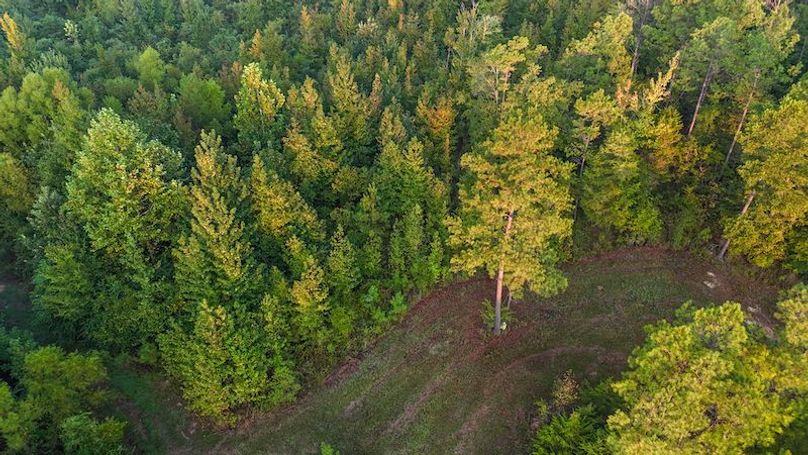 Madison Co - 40 - Clerk-23