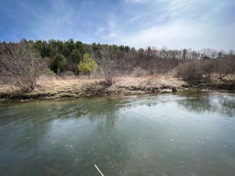 Tioga__NY_109.7_Burris_Photos_127