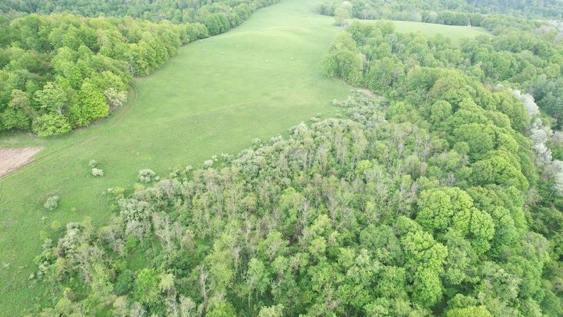 dji_fly_20250515_130218_239_1747328892665_photo