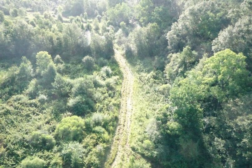 DJI_0637