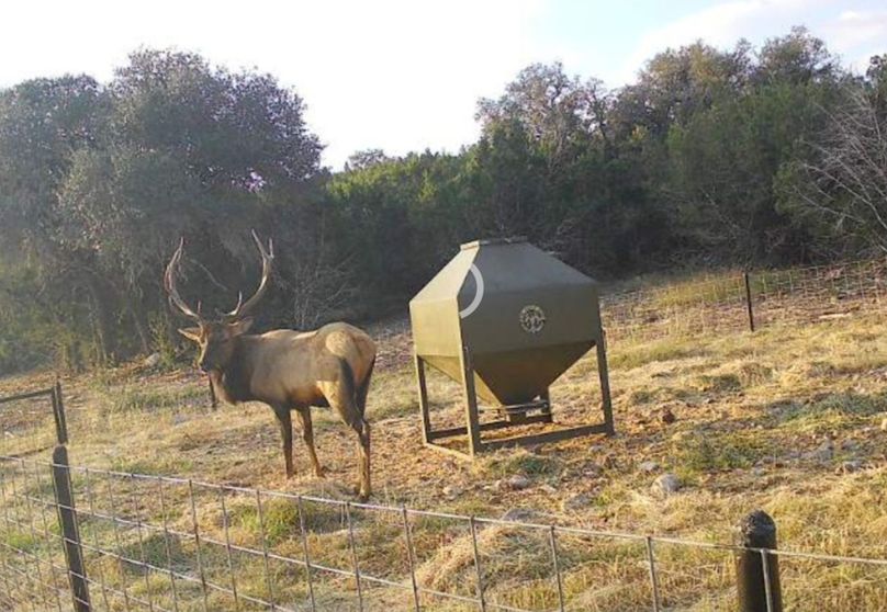 Screenshot_Ed60126_203100_Photos