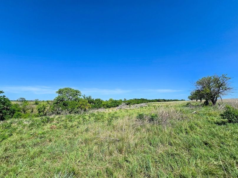 Copy of 20250729_111203