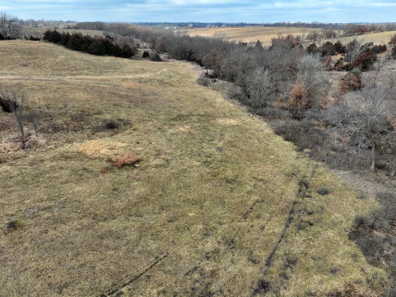 DJI_0867