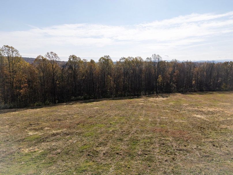 7-DJI_20251101090223_0007_D