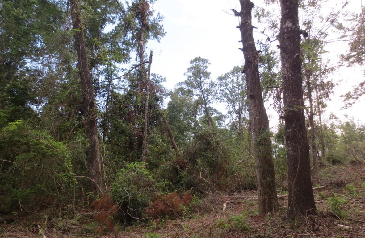 4B3197DD-731B-4559-BF36-A0CE1DEE3AAB_1_105_c