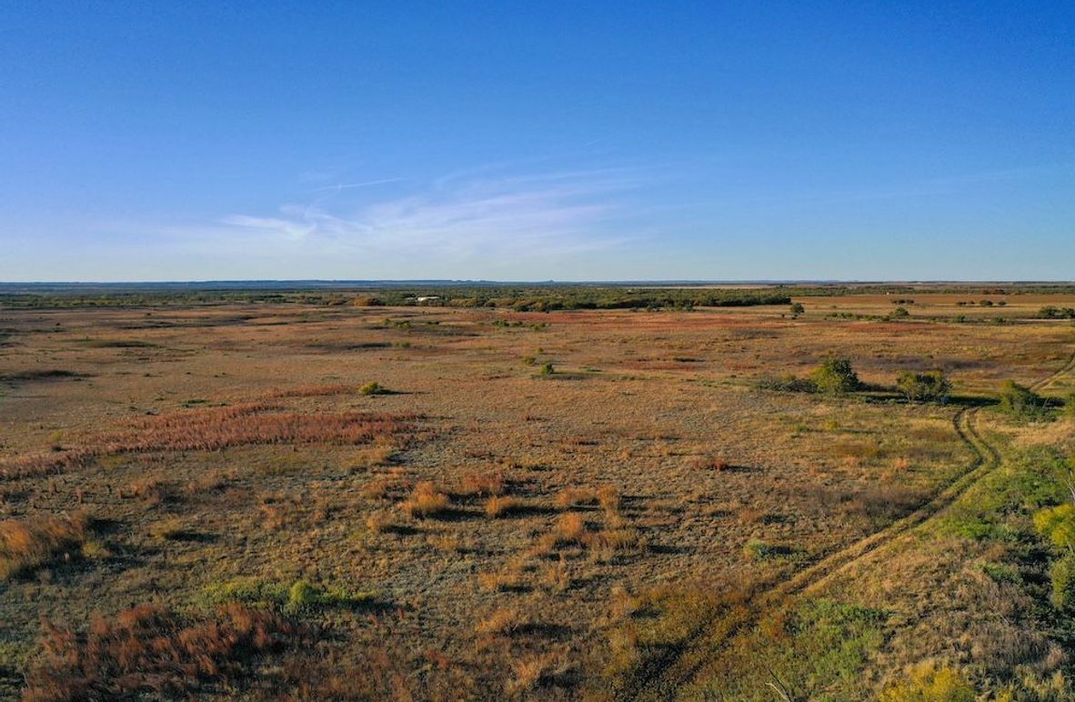 org_5d6981860cdf9c9a_1762732006000