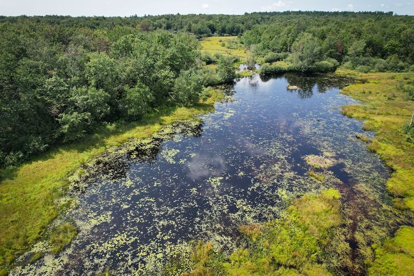 Oswego_100_Roof_Photos_31