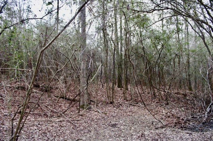 2F63AF4A-D72D-47DA-8DC9-6DFEF308E584_1_105_c