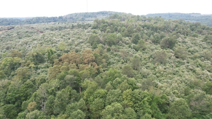 dji_fly_20250806_125150_543_1754499867287_photo