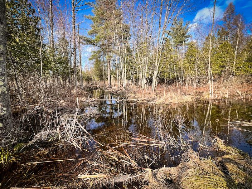 StLawrence_142.7_Bosse_Photos_37