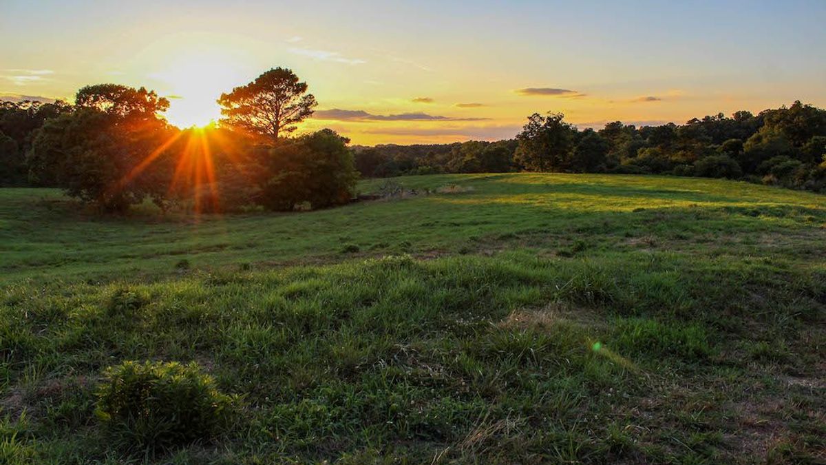 Country Home On Acreage With Hay Fields And Creeks Bordering Bankhead ...