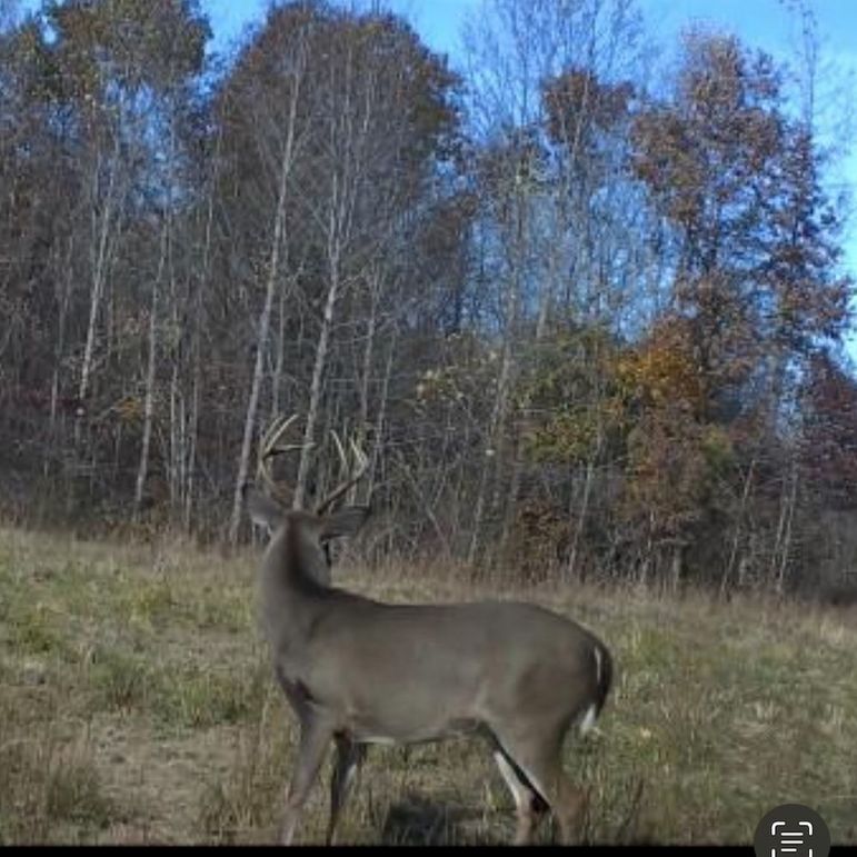 Benton 133.5 Trail Cam-04