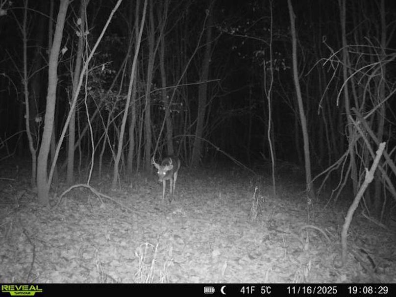 860516067504427-30-4-11162025190830-V-W1002809