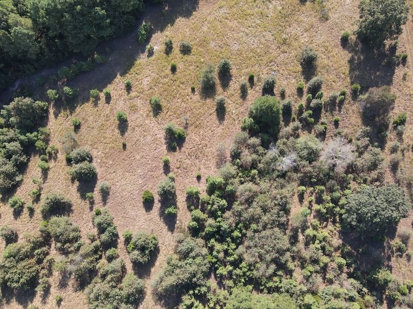 dji_fly_20250902_095604_732_1756825040152_photo