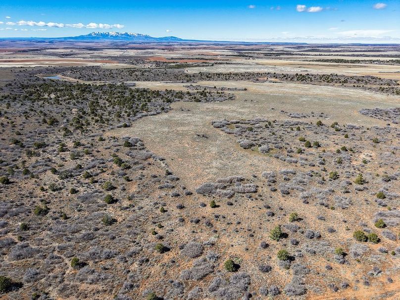 DJI_20260303122329_0056_D