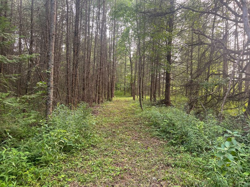 C315F4DF-AA03-4EBF-B805-AF6E0F3747DB