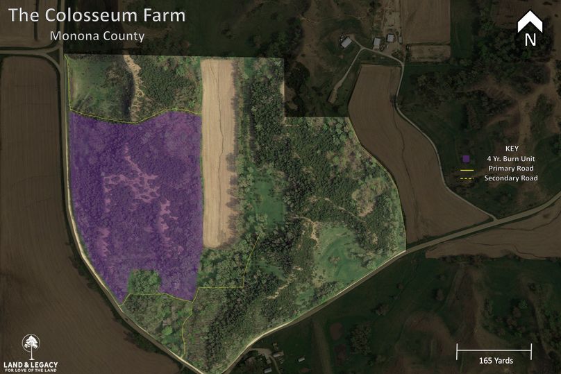 The Colosseum Farm  3