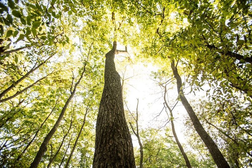 Copy of POTTAWATTAMIE CO IA 311 TRACT 3_12