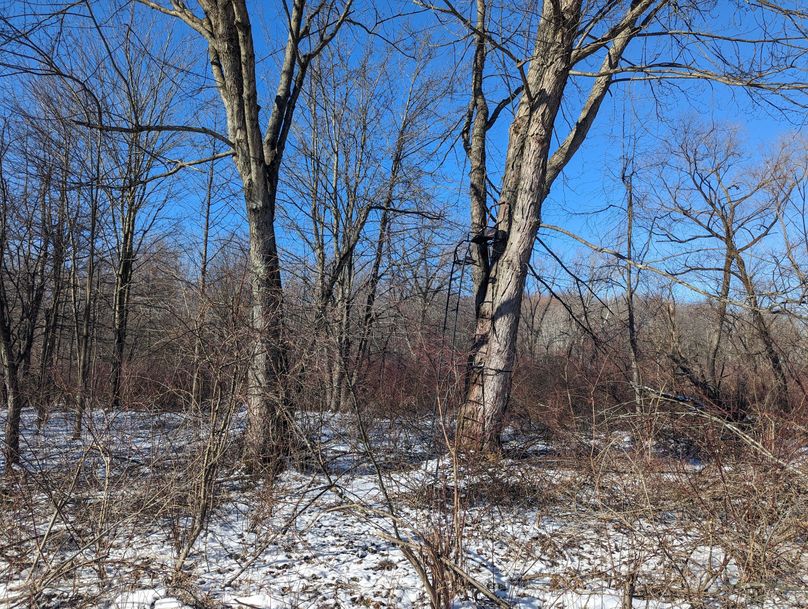 PXL_20230202_161726275