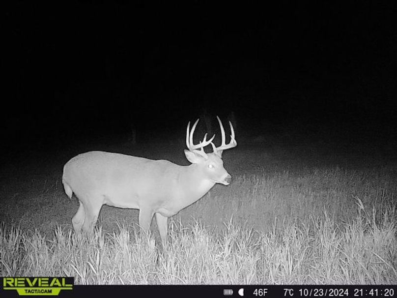 861641042572304-90-5-10232024214120-W1003437