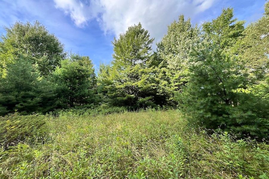 Chemung_15.583_Gutchess_lumber_Photos_17
