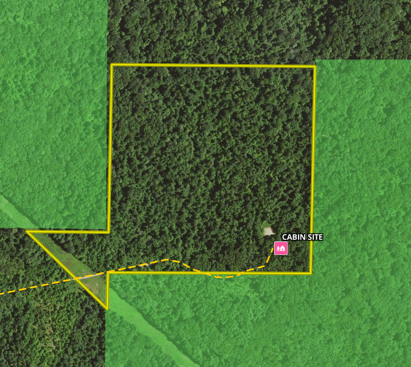 Screenshot 2024-01-09 at 3.22.13 PM