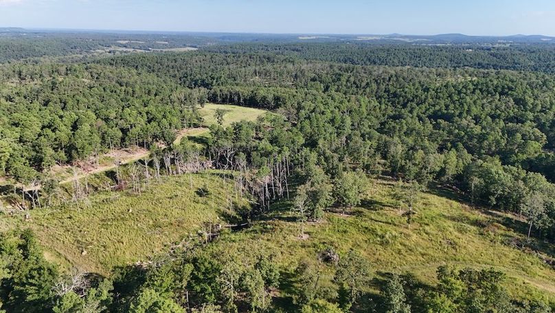 DJI_20250823100910_0097_D