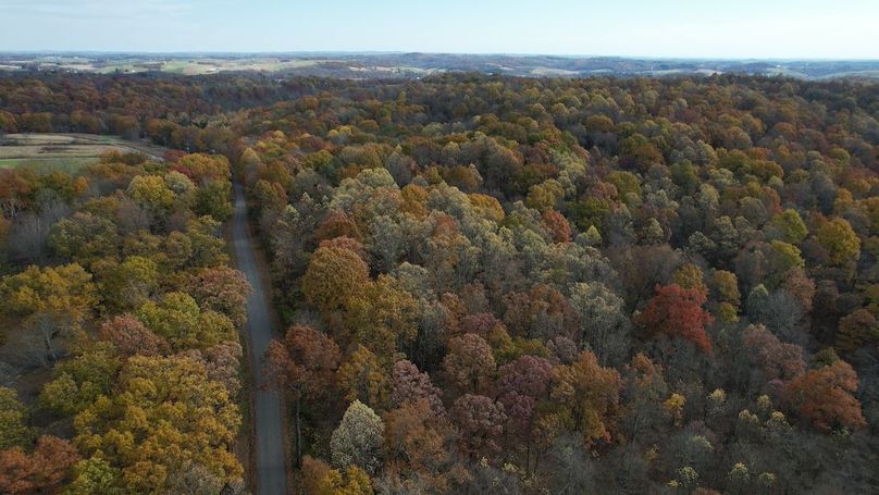 dji_fly_20251105_122212_900_1762380927470_photo