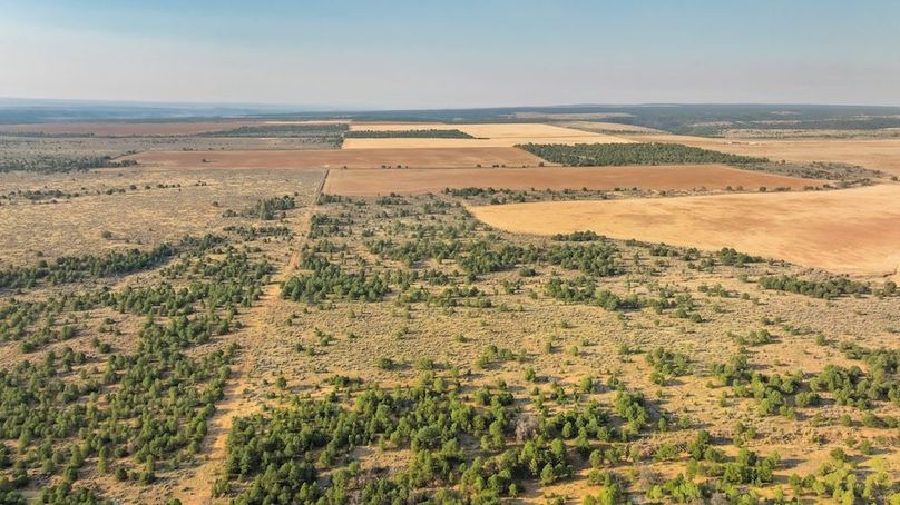 DJI_0591_1