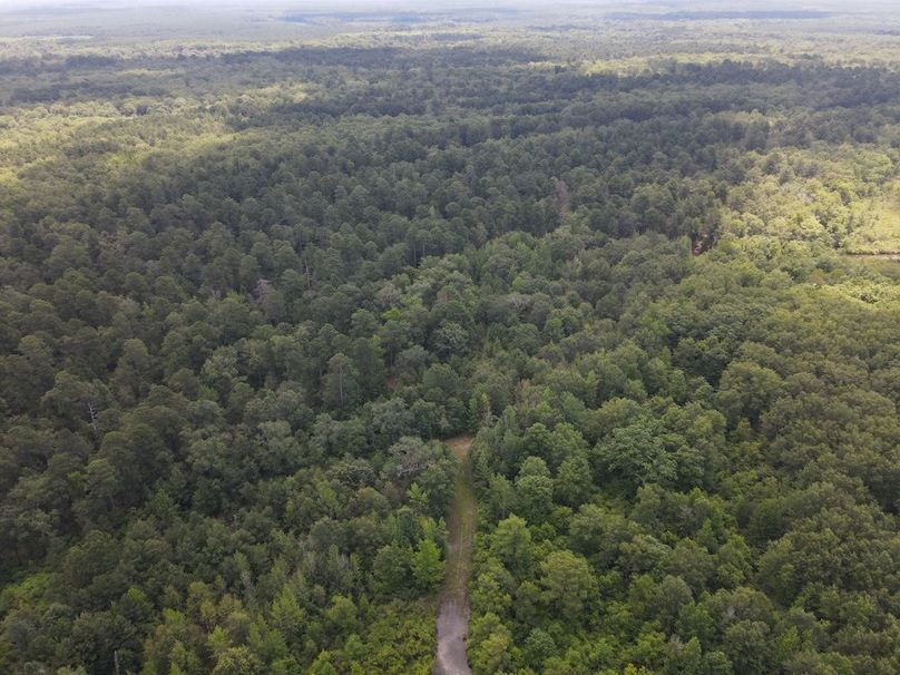 DJI_0520